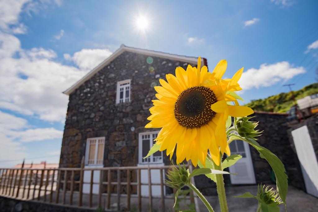 Stone Dreams - Pedra Da Atafona Villa Calheta de Nesquim Ngoại thất bức ảnh